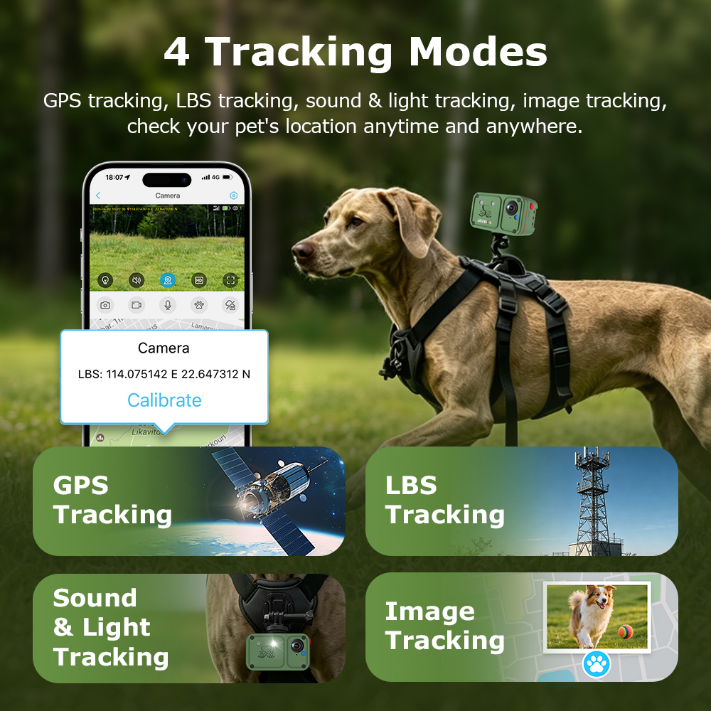 LS VISION 2K 4G Pet Collar Cam - Outdoor Power G Motion review and price